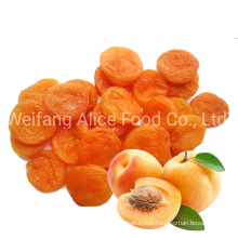 New Crop Preserved Fruits Supplier China Wholesale 12 Months Shelf Life Preserved Apricot